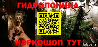 гидра Кандалакша
