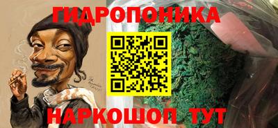 гидра Кандалакша